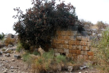 Bina öğesinin duvar.