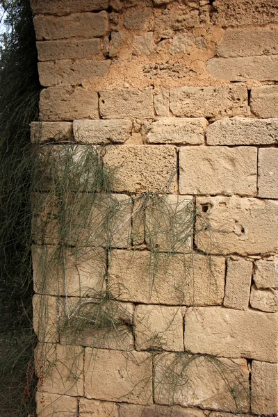 The wall of the building element. — Stock Photo, Image