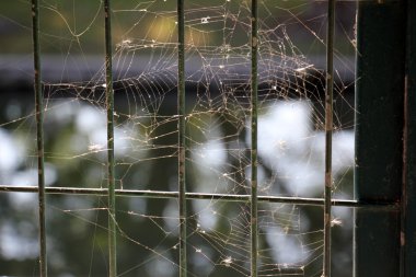 Doku - malzeme oluşturan öğeler.