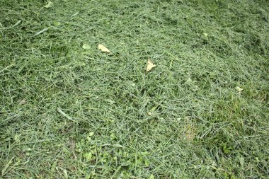 Doku - malzeme oluşturan öğeler.