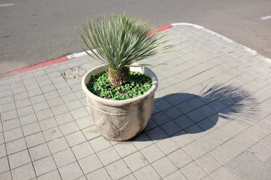 Doku - malzeme oluşturan öğeler.