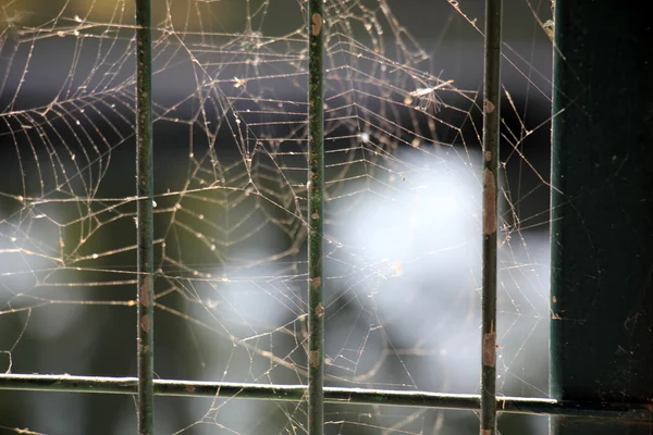 Window watching us — Stock Photo, Image