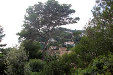 Doğa - maddi dünya