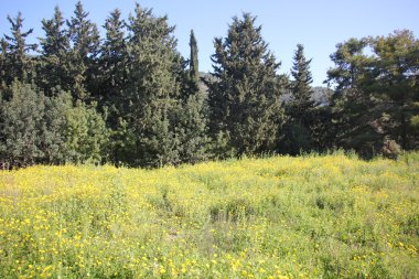 Doğa - maddi dünya