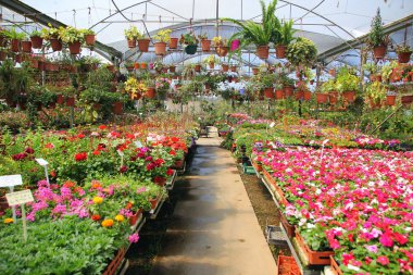 Doğa - maddi dünya