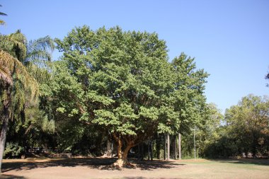 Doğa - maddi dünya