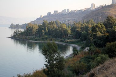 Doğa - maddi dünya