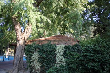 Doğa - maddi dünya