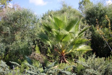 Doğa - maddi dünya