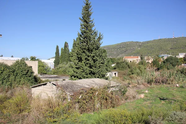 Doğa - maddi dünya