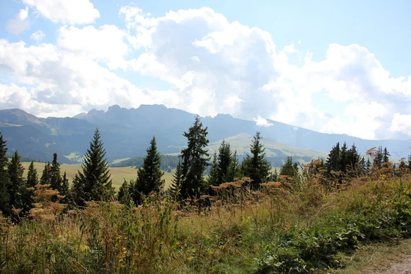 Wycieczka do Alp — Zdjęcie stockowe