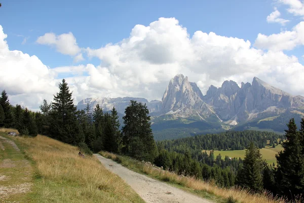 Ein Ausflug in die Alpen — Stockfoto