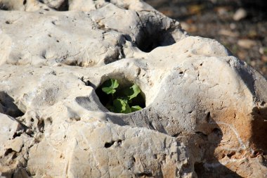 büyük kayalar ve taşlar