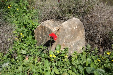 büyük kayalar ve taşlar