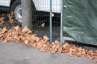 Alan için bir çit çit olduğunu