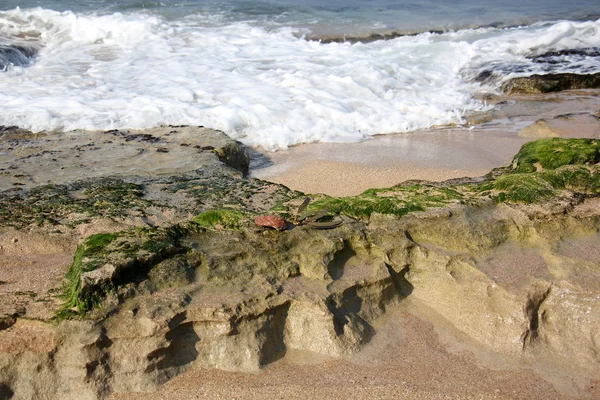 큰 바위와 돌 — 스톡 사진