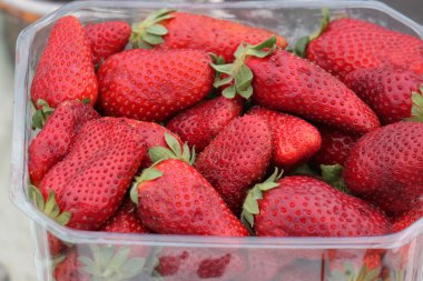 Çilekli tatlı berry