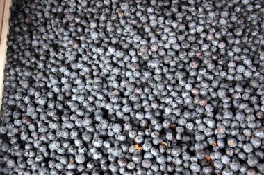 Meyveler ve meyveler