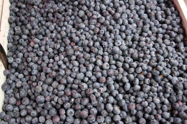 Meyveler ve meyveler