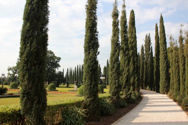 Dönüm bahçelerinde Bahai