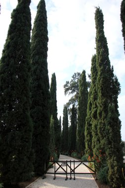 Dönüm bahçelerinde Bahai