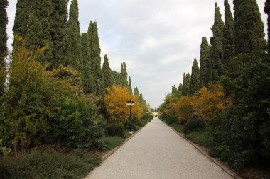 Dönüm bahçelerinde Bahai