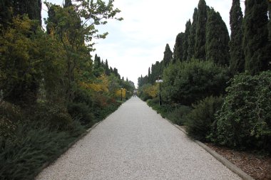 Dönüm bahçelerinde Bahai