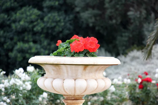 Bahai bahçeleri Haifa