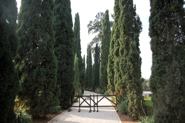 Jardins de Bahai em Acre — Fotografia de Stock