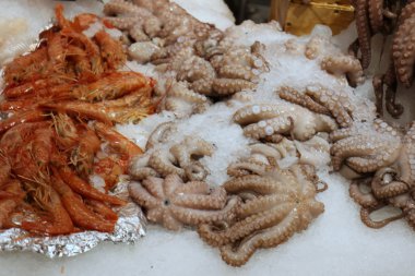 In Bazaarı Acre kentinde