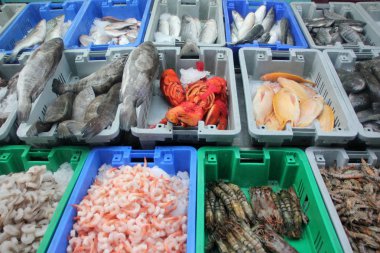 In Bazaarı Acre kentinde