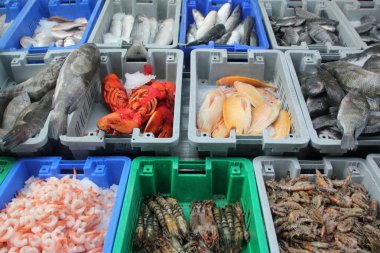 In Bazaarı Acre kentinde