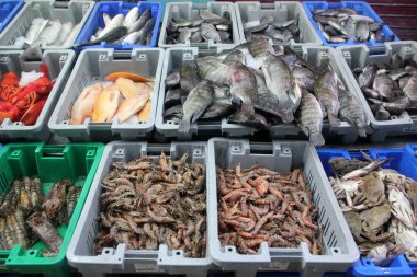 In Bazaarı Acre kentinde