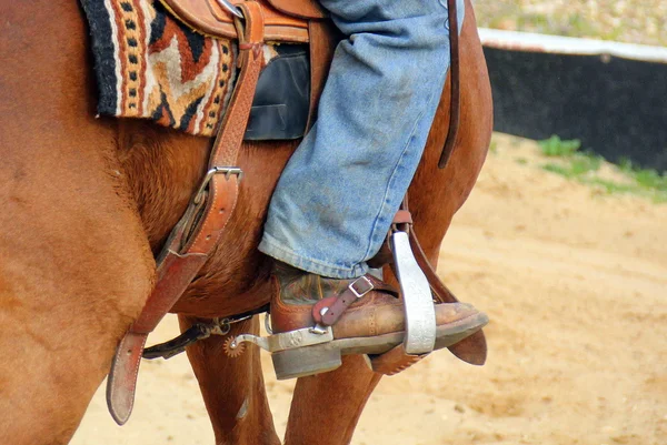 Het paard is een huisdier — Stockfoto