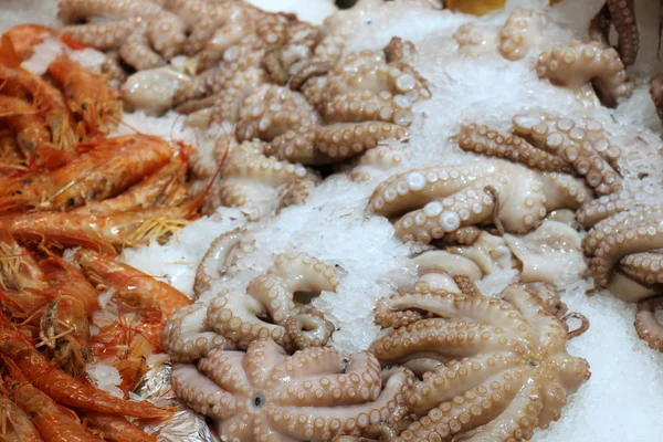 In Bazaarı Acre kentinde