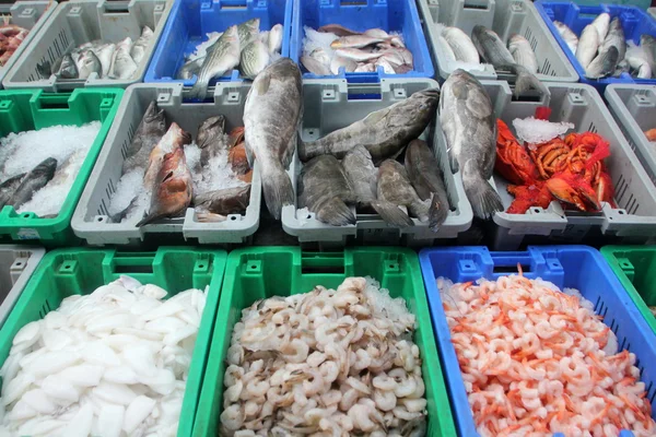 Bazaar in de stad van Akko — Stockfoto