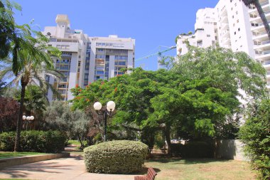 Tel - Aviv, büyük şehir