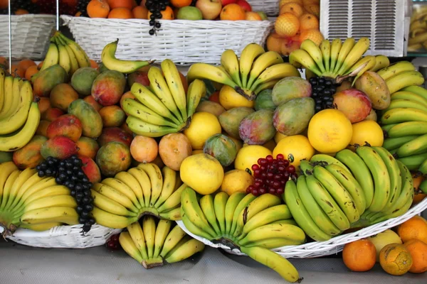 Frukterna av fruktträd — Stockfoto