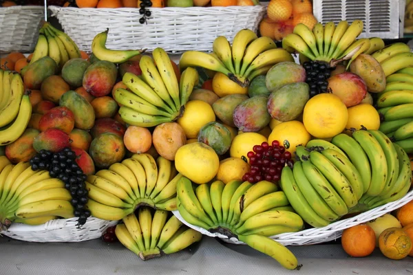 The fruits of fruit trees — Stock Photo, Image