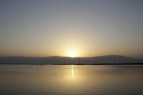 Даун Мертвого моря — стоковое фото