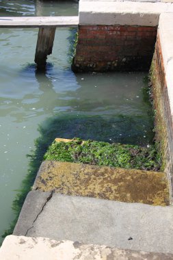 Venedik - İtalya şehir