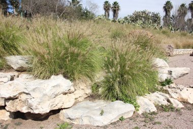 taşlar her yerdeler