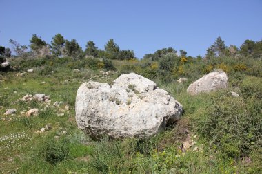 taşlar her yerdeler