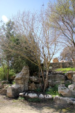 taşlar her yerdeler