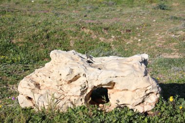 taşlar her yerdeler