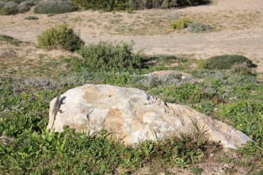 taşlar her yerdeler