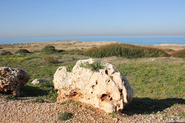 En todas partes hay piedras — Foto de Stock