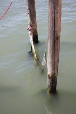 yapı ve ahşap doku