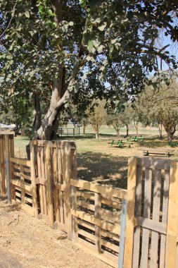 yapı ve ahşap doku