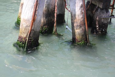 yapı ve ahşap doku